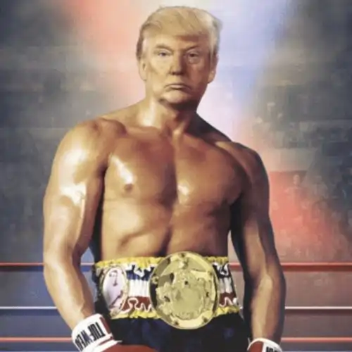 trump boxer
