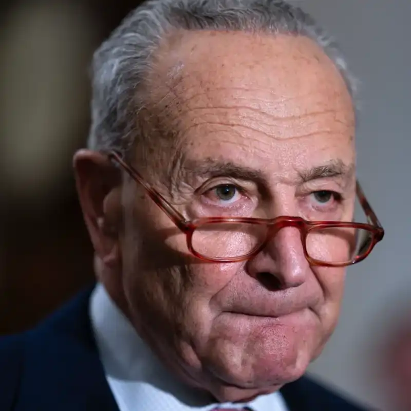 schumerpout